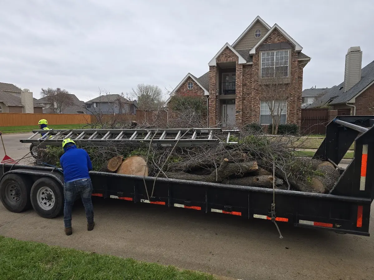 Expert Lot Clearing with proper safety equipment in Glencross